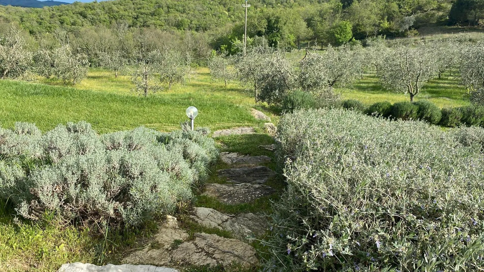 Villa Rosa Di Chianti Radda in Chianti 0*,